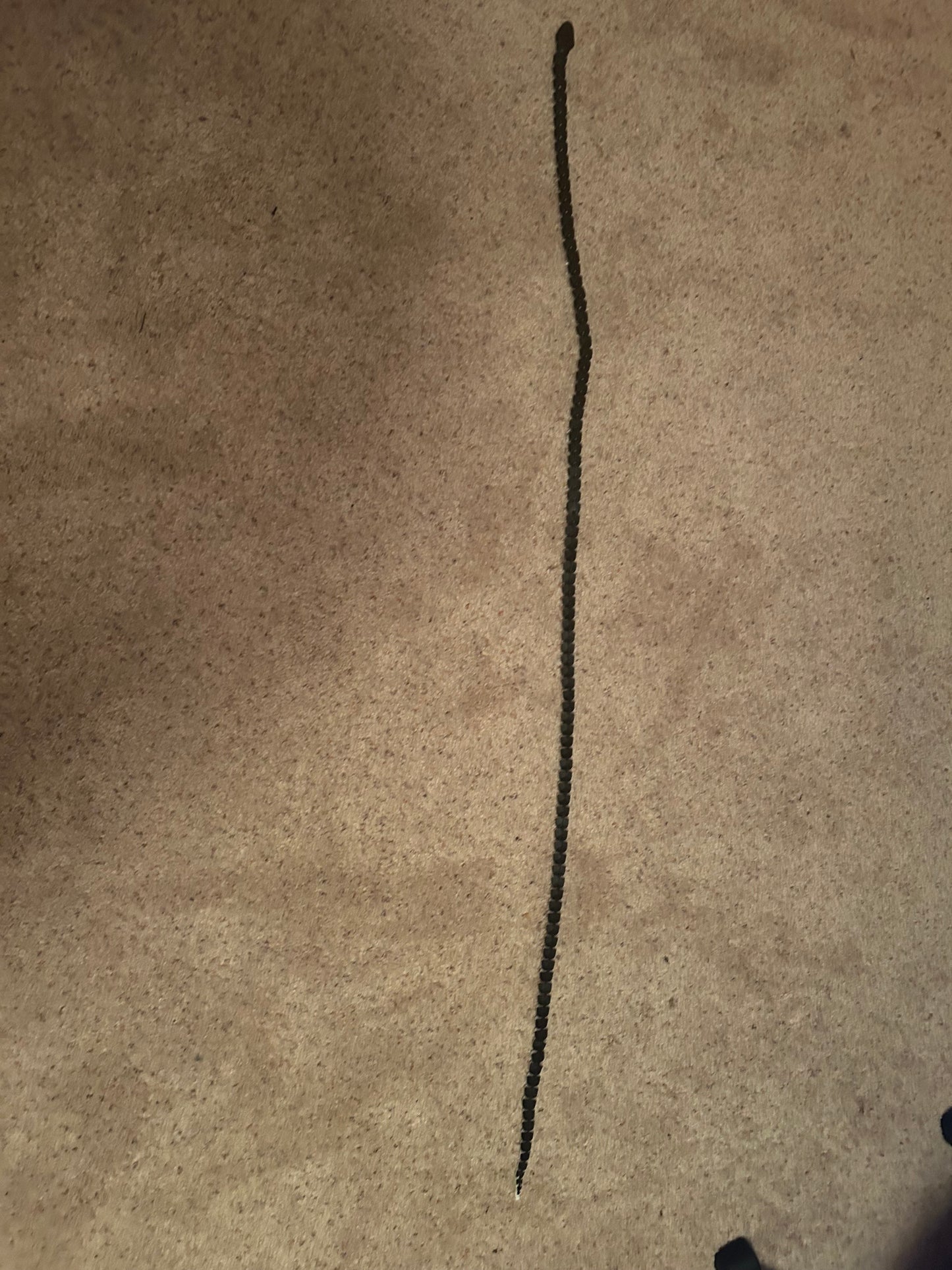 Articulated Snake